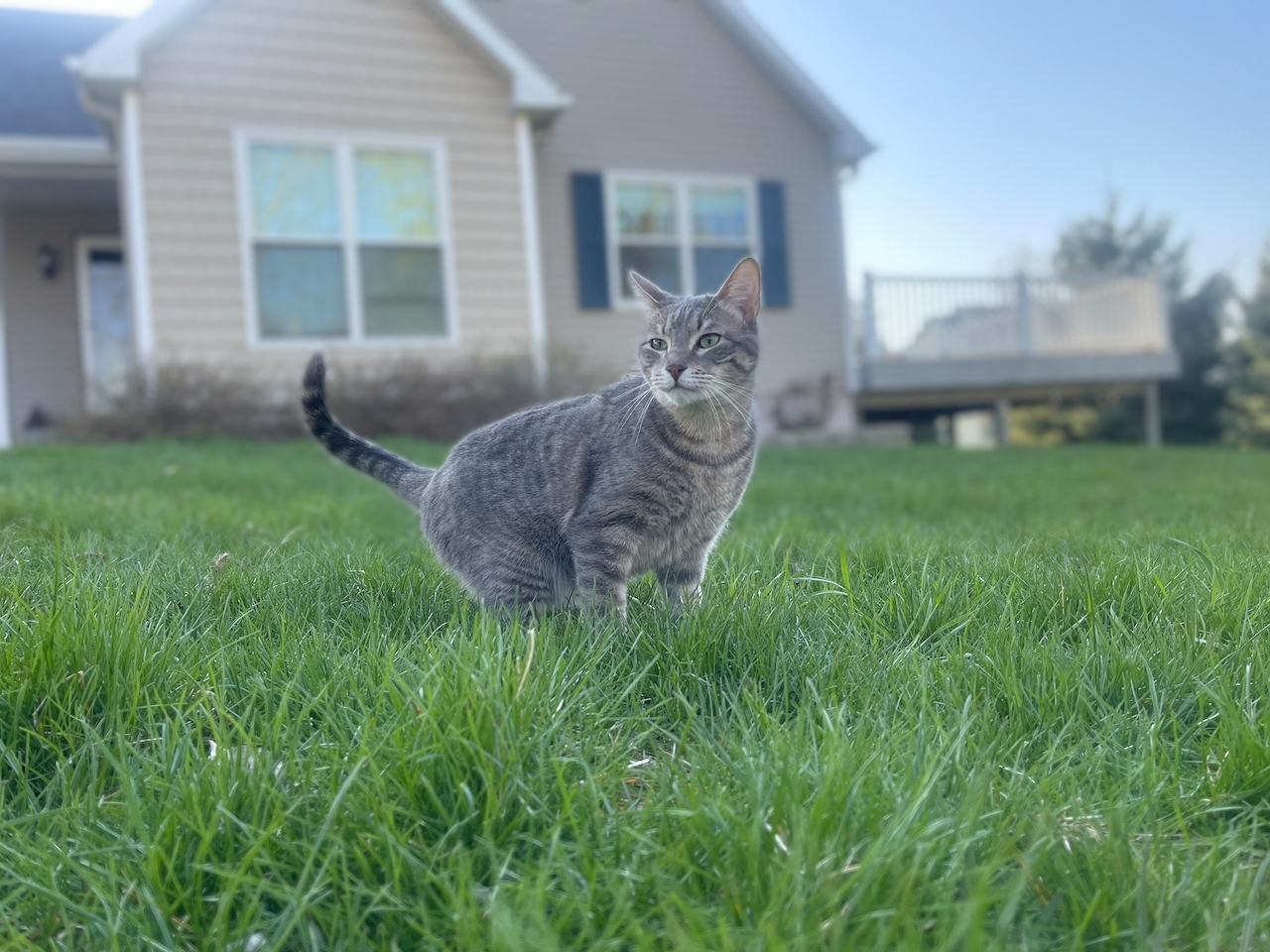 10908 NW 107th Street, Granger, Iowa - Beautiful 6 bedroom ranch home exterior